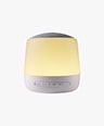 search-product7