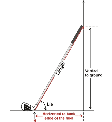 size-guide