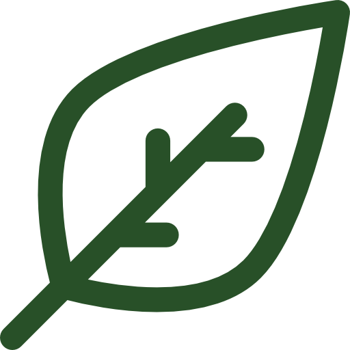 ser-icon2
