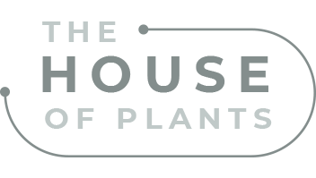 brand-logo3