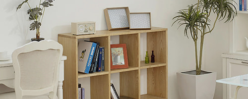 newsletter-popup