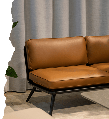 newsletter-popup