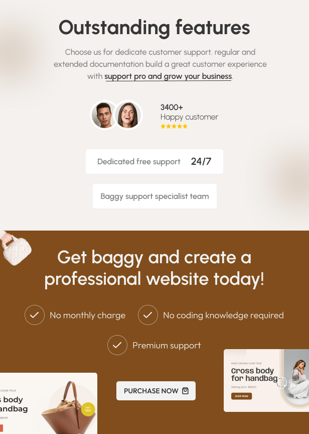 Baggy – The Handbag & Purse Store eCommerce Shopify Theme