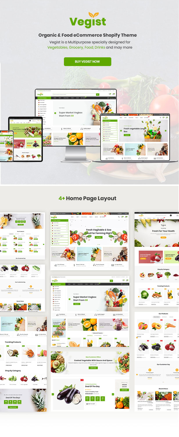 Vegist - The  Vegetables, Supermarket & Organic Food eCommerce Shopify Theme - 13